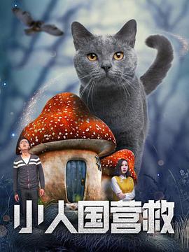 青春草在线视频观看