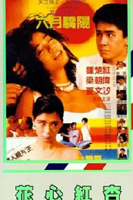 麻豆av在线资源