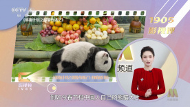 珍妮花的欲望